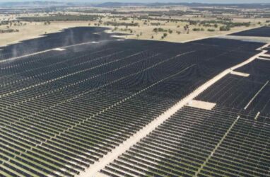 Stubbo solar farm acen renewables