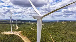 “Significant milestone:” Power flow testing begins at massive Forrest-backed wind farm