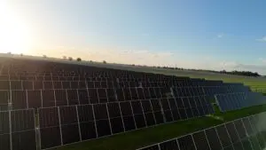 Neoen inks PPA to sell half the output of its biggest solar farm in NSW