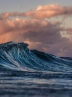 Wave energy device ready for launch in Albany’s King George Sound