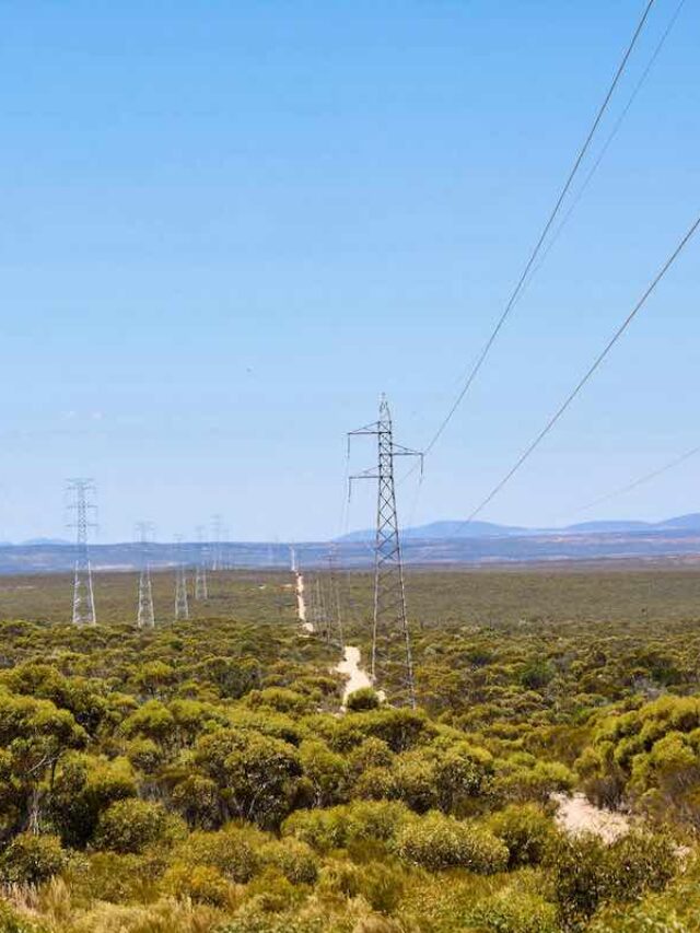 How South Australia got from zero to 100% renewables in just 20 years