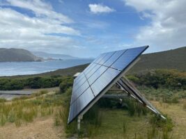 Renewable records surge across the grid in midst of latest heatwave