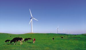 Australia’s oldest commercial wind farm to close as cost of repowering is too high