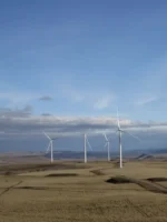 Snowy Hydro-worth of solar and wind wasted in 2024, as curtailment continues to bite