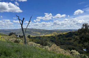 Prices fall as first pumped hydro and two eight hour battery projects win landmark storage tender