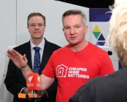 Bowen says design of battery scheme leaves “zero chance” it will increase electricity prices