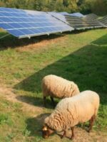 Solar and battery proposal sails through EPBC and into a storm of objections
