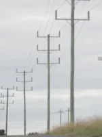 New, improved electricity price forecasting tool claims to beat AEMO at its own game
