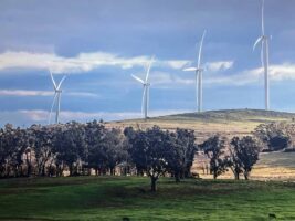 A tale of two summits: Gina Rinehart’s net-zero siege versus farming’s renewable lifeline