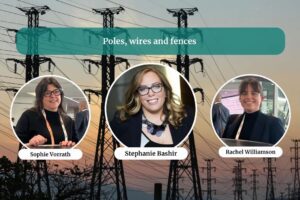 Poles, wires and fences | Solar Insiders