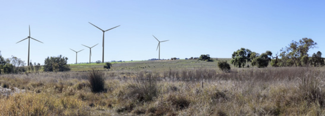 Marri wind project, Alinta
