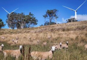 NSW Coalition proposes to dump biggest REZ, and create city zones instead, ending bipartisan support