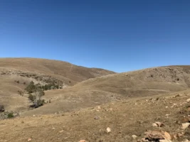 Near neighbours of Australia’s likely newest wind project get inflation-based boost on payments