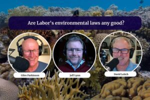 Video: Are Labor’s environmental laws any good? | Energy Insiders