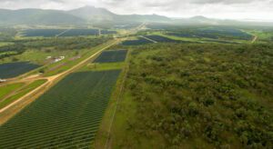 One of Australia’s biggest solar farms, in heart of Queensland coal country, reaches full commercial operations