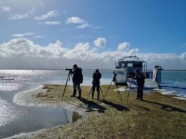 Australia’s first offshore wind auction set for August after nearly one year delay