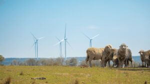 Replacement turbine blades on the way as huge wind farm held at half-way point of commissioning