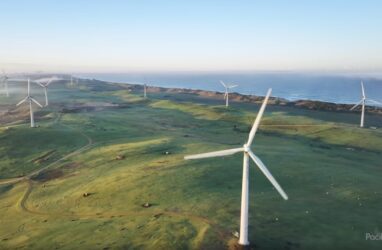 Codrington wind farm, Pacific Blue