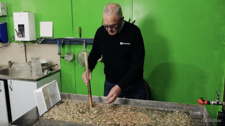 PVC Separation founder Dennis Collins. Image: Pacific Blue