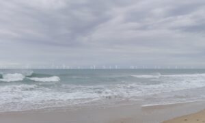 Offshore wind plans given major project status as sector hits “critical inflection point”