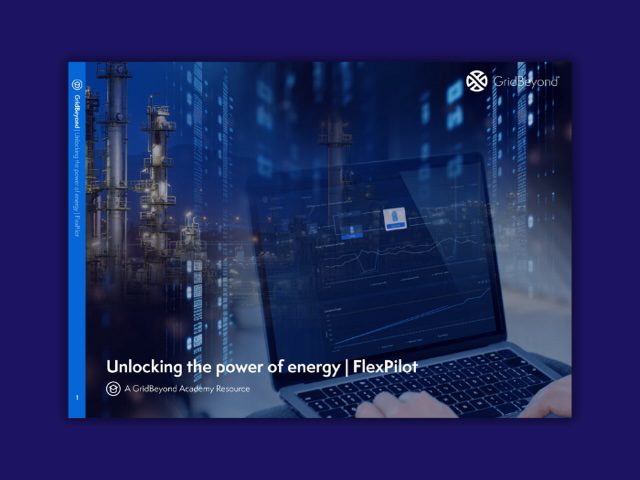 Technology is key to predict energy price volatility says GridBeyond’s white paper