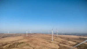 Renewables auction delivers record number of solar projects, biggest onshore wind farm