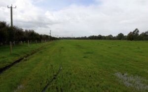 Local developer pitches gigawatt-hour big battery to help Perth quit coal