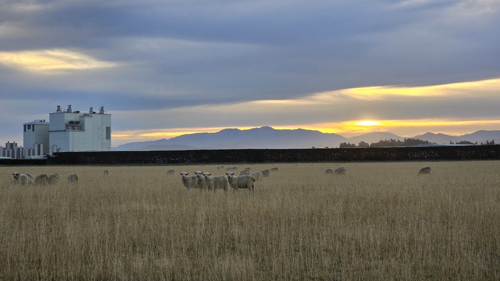 Darfield solar and battery site. Image: NZCE