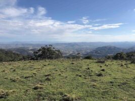 Developer slams “lengthy and unnecessary” legal battle as council drops case against wind project