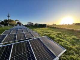 Solar is already creating the fastest shift in electricity generation in history – and it is still accelerating.