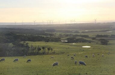 How a local council is striving to become Australia’s “poster child” for offshore wind