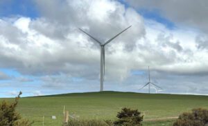 Wind project to hand over worker village to First Nations community, and create new home for black cockatoos