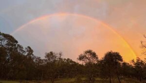 EnviroInvest Investment Fund launches to capture Australia’s environmental investment opportunity