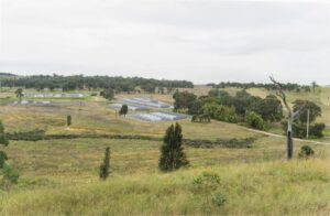 AGL gets federal green tick for big battery in coal country, with conditions to protect local legless lizard