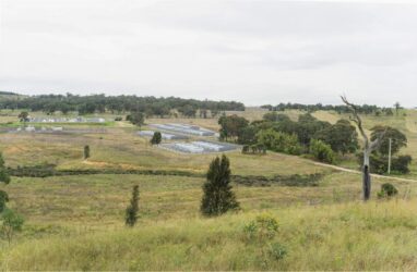10 Key Facts About AGL's Battery Approval in Coal Country and the Legless Lizard Protection