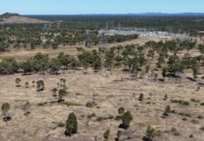 New 1,000 MW battery joins queue for federal green tick, with eye to add wind farm next door