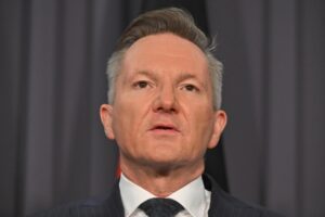 Bowen summons watchdogs to examine why electricity bills are rising as power prices come down