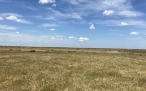 Wind project faces referral due to long distance objectors, citing impacts of a wind farm that doesn’t exist