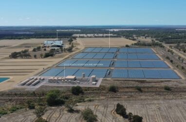 China solar giant joins effort to deliver state’s first green hydrogen and ammonia facility