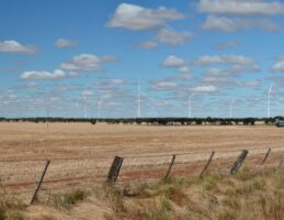 Wind farm proposed for development along new transmission corridor gets approval after years in pipeline