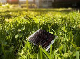 A piece of cake? Australian researchers turn to baking for improvements in solar cell efficiency