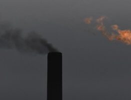 “Barely budged:” Big polluters get away with minimal cuts as climate scheme allows too many offsets