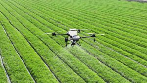 “Tangible benefits:” REZ unlocks $1.4 million to fund tech upgrades for local farmers