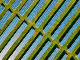 Solar stands up during European heatwaves as nuclear and fossil fuels stumble
