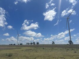 Final turbine goes up at huge Queensland wind farm, but two projects remain stuck in state planning purgatory