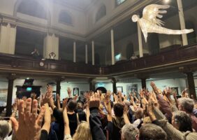 Breaking: NSW Greens call on federal MPs to allow carbon credits and help halt native logging and save koalas