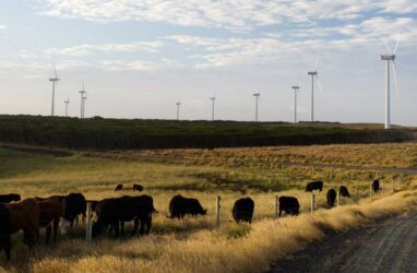 Anti-wind group sues planning minister and wind project owners, threatens public servants