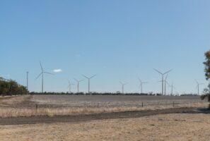 Labor waves through Australia’s biggest wind farm – a project “not possible” under state Coalition buffer policy