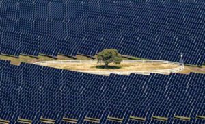 Oil giant’s renewables arm co-launches equal biggest solar farm in Aotearoa NZ