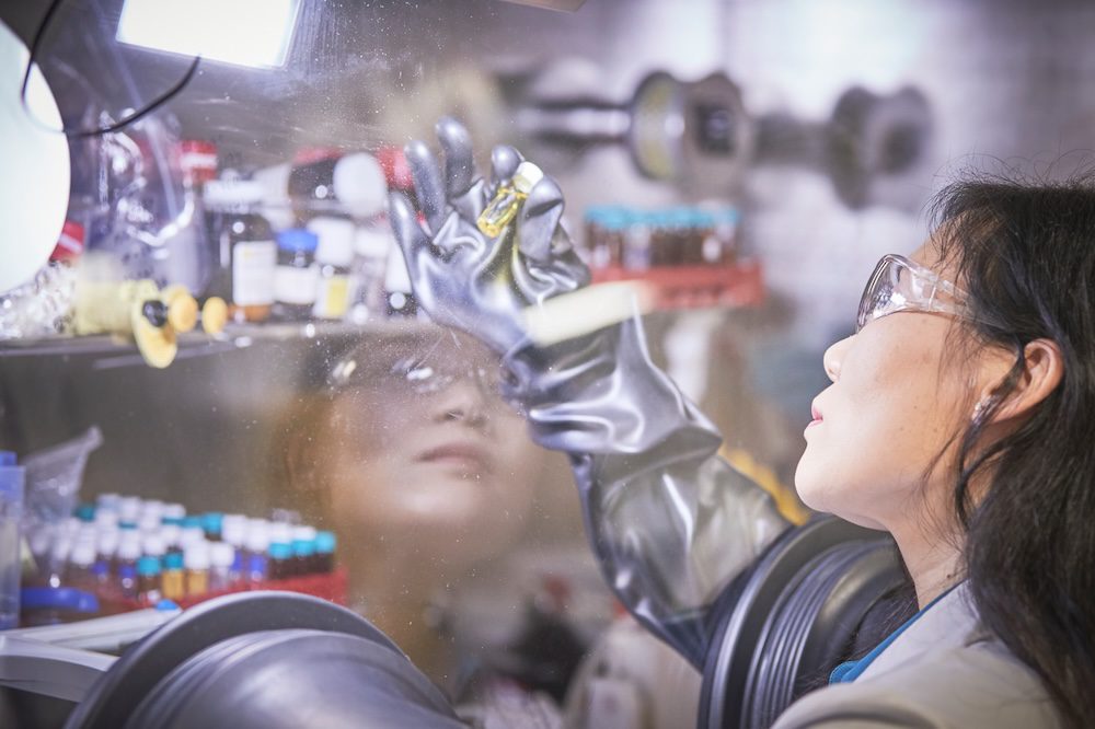 unsw perovskite module